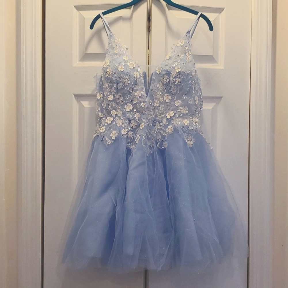 Custome Blue tulle dress, Never Worn - Picture 2 of 10